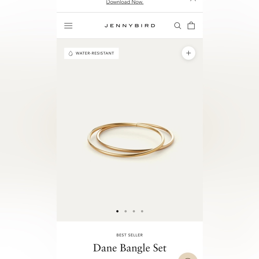 Jenny Bird Gold Dane Bangle Set